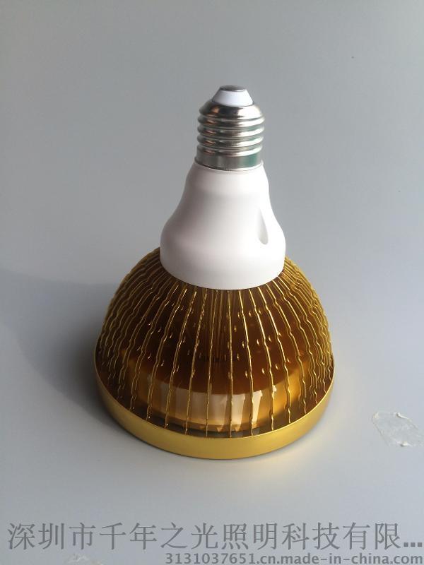 LEDpar燈 7-9W 寬電壓恒流驅動
